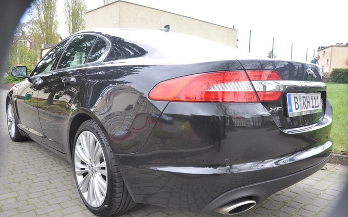 Jaguar XF cena 59900 przebieg: 226000, rok produkcji 2014 z Recz małe 436